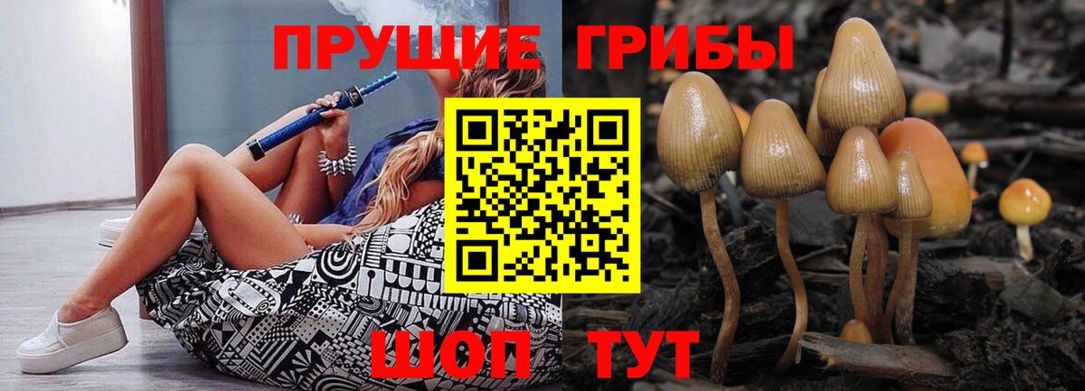 Псилоцибиновые грибы прущие грибы  Псилоцибиновые грибы GOLDEN TEACHER  Вход с VPN  Россия 